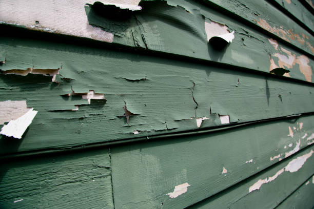 Best Residential Vinyl Siding Installation  in Bethel, AK
